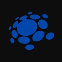 Digital Leadership Associates logo