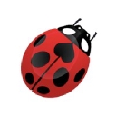 sociallykeeda.com logo