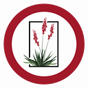 Socorro Wellness & Rehabilitation logo
