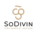 SoDivin logo