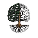 Scottish Outdoor Education Centres Limited logo