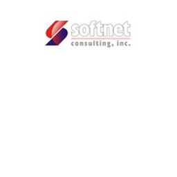 Softnet Consulting INC logo