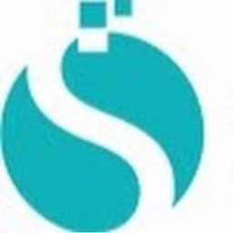 Softstandard Solutions LLC logo
