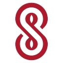 Solid State Networks logo
