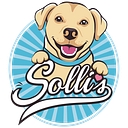 Sollis logo
