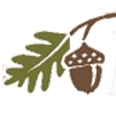 Solon Township logo