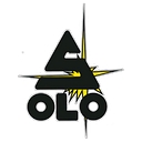 Solo Wilderness Medical School logo