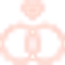 solteirasnoivascasadas.com logo