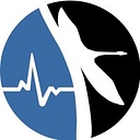 Solutions Nursing Lfc logo