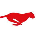 Solvares logo