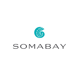 SomaBay Development