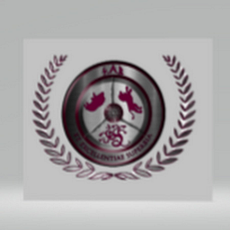 SOMERSET ACADEMY BETHANY logo