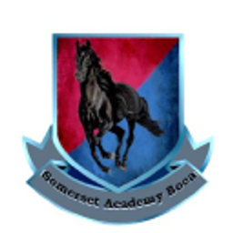 SOMERSET ACADEMY BOCA EAST logo