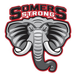 PRIMROSE SCHOOL logo