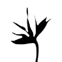 Something New Florist & Events logo