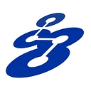Songwon Industrial Group logo