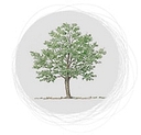 soniapaladini.it logo