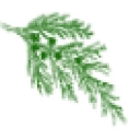 Sono Inc. logo