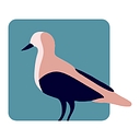 Favicon of soNomad