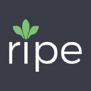 Ripe logo