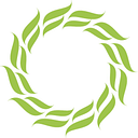 Soteria Precision Medicine Foundation logo