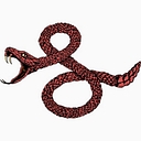 Logo for soulcycle.com