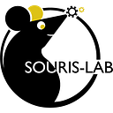 MD Tooth - Docteur Souris logo