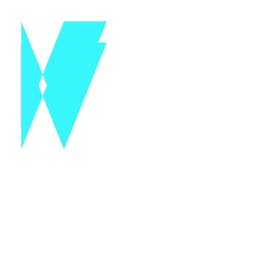 souryan-auge.fr logo