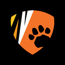 FRIENDS OF SOUTH HIGH FOUNDATION INC logo