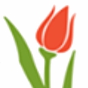 South Holland village logo