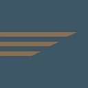 South American Jets logo