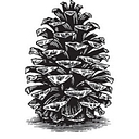 Southland Log Homes logo