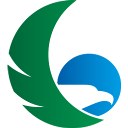 South Seas Aviation, Inc. logo