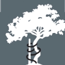 South Shore Orthopedics logo