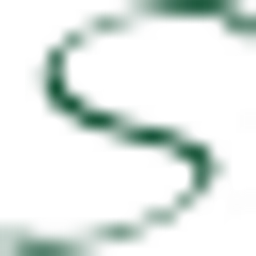 Southside Nursing Home Ltd logo