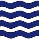 South West Drainage Services Ltd logo