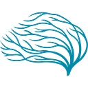 Soyouneed logo