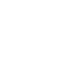 Space Concordia logo