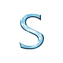 Spark Business Services Group Inc. logo