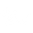 Spark Worldwide logo