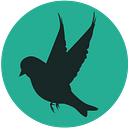Sparrow Early Learning Pty Ltd logo