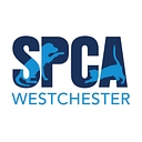 SPCA Westchester
