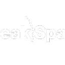 Speakspace, Llc logo