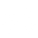Sperlonga Data & Analytics logo
