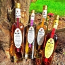 Speyside Distillers Co Ltd logo