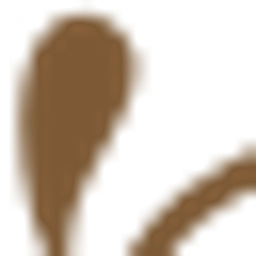 Oishin Ltd T/A Spice of India logo