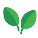 Spinach