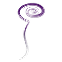 Spinal CSF Leak Foundation logo
