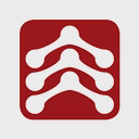 Spinal Elements Holdings, Inc. logo