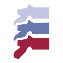 Spine Surgery Inc logo